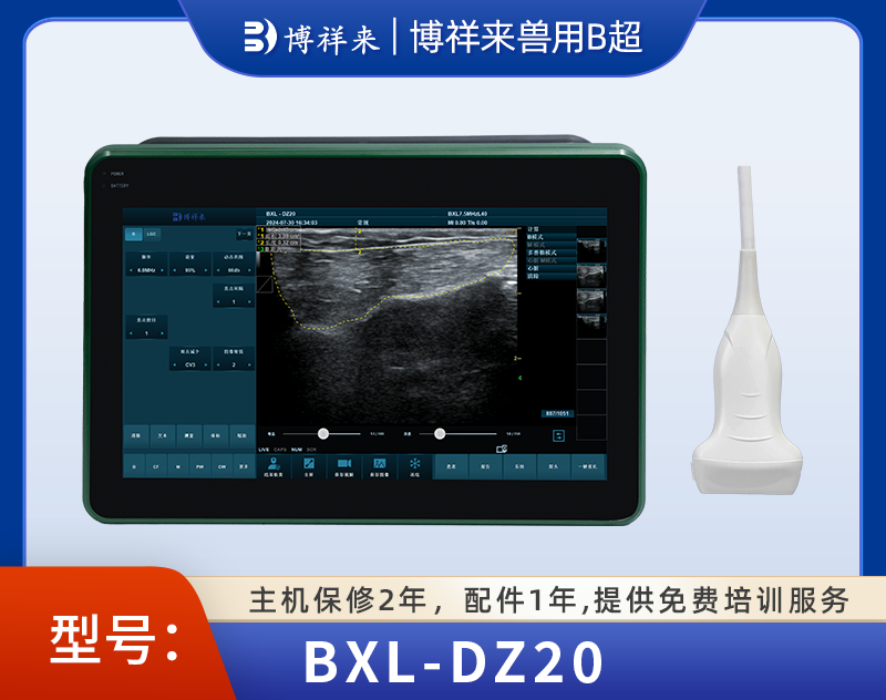 小動(dòng)物雞鴨鵝用B超檢測(cè)儀 BXL-DZ20